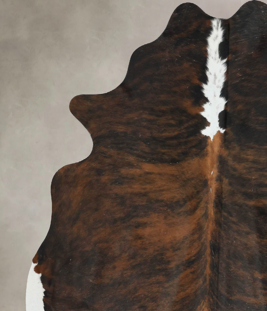 Tricolor X-Large Brazilian Cowhide Rug 6'8"H x 6'1"W #B17153 by Hudson