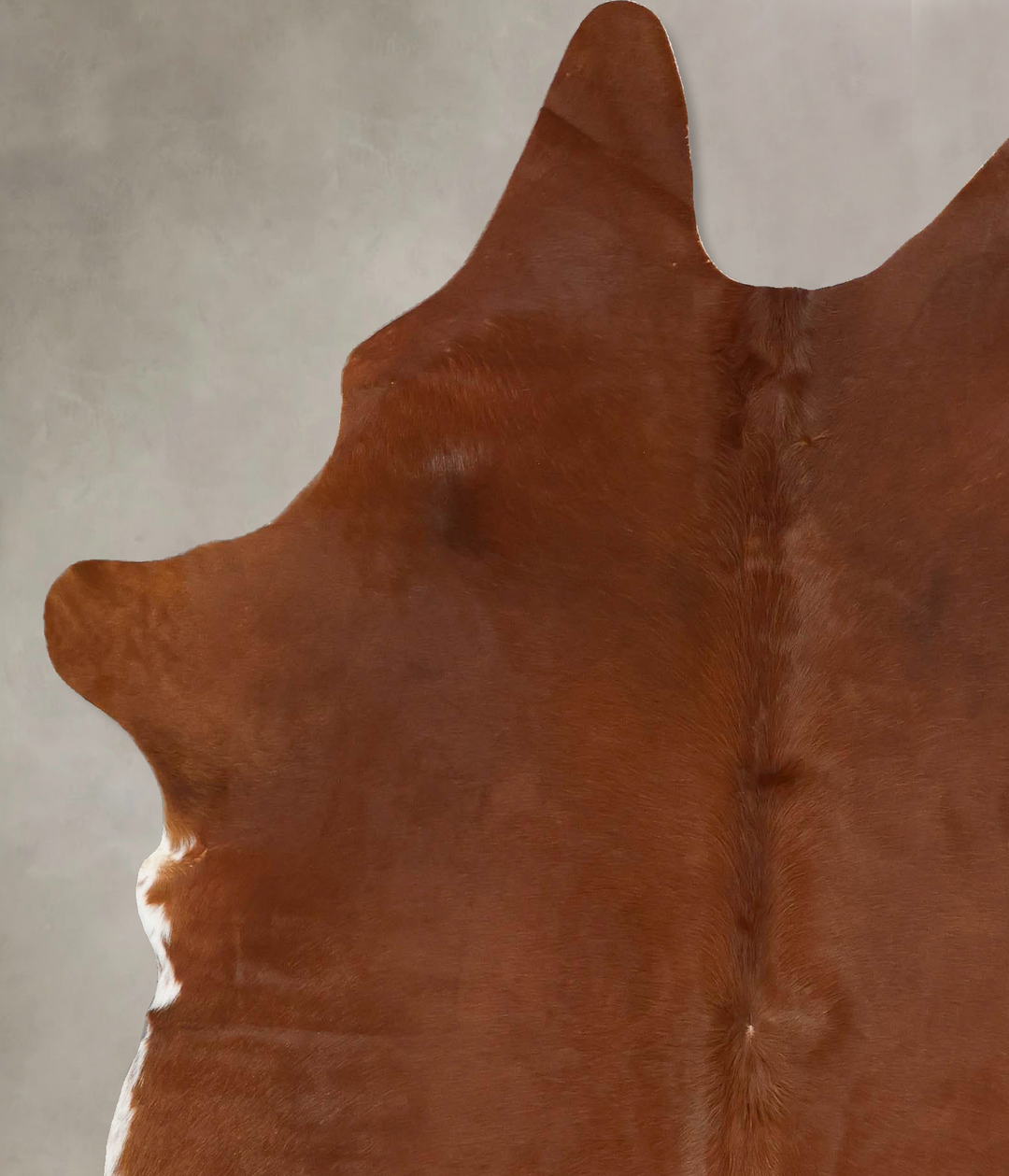 Solid Brown X-Large Brazilian Cowhide Rug 6'8"H x 6'2"W #B17173 by Hud