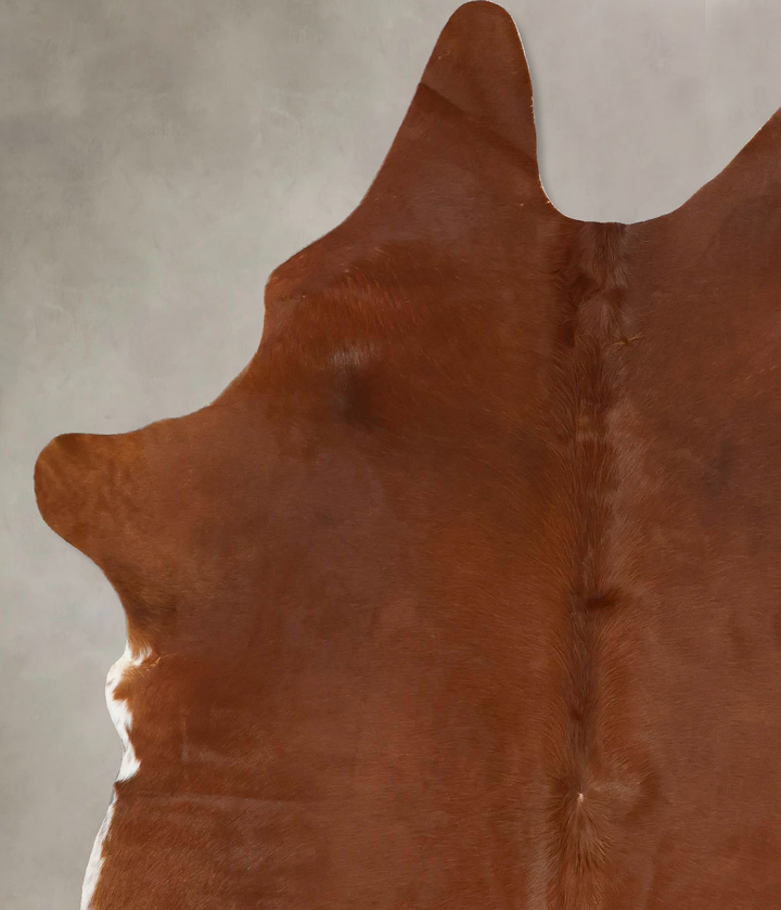 Solid Brown X-Large Brazilian Cowhide Rug 6'8"H x 6'2"W #B17173 by Hudson Hides