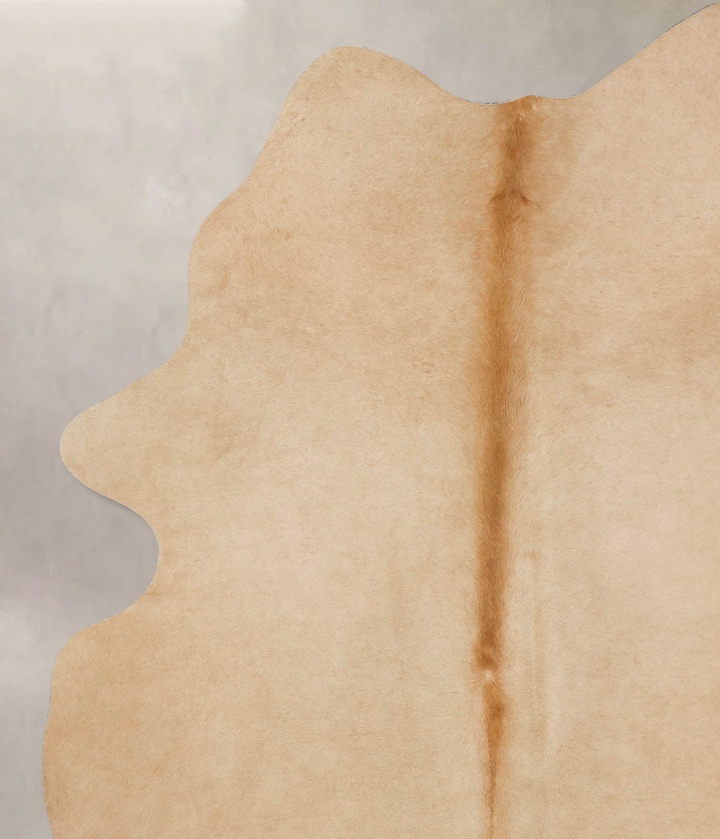 Beige X-Large Brazilian Cowhide Rug 7'8"H x 5'5"W #B17189 by Hudson Hides