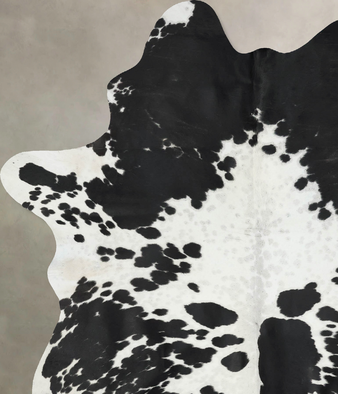Black and White XX-Large Brazilian Cowhide Rug 8'3"H x 6'1"W #B17191 b