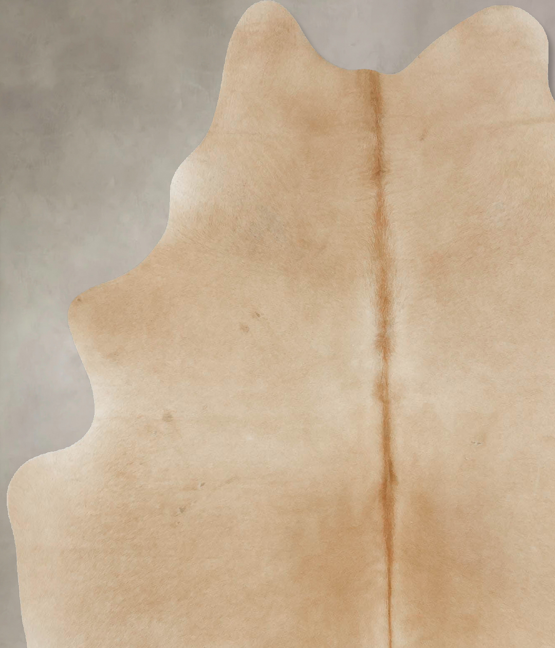 Palomino Large Brazilian Cowhide Rug 6'3"H x 5'3"W #B17197 by Hudson H