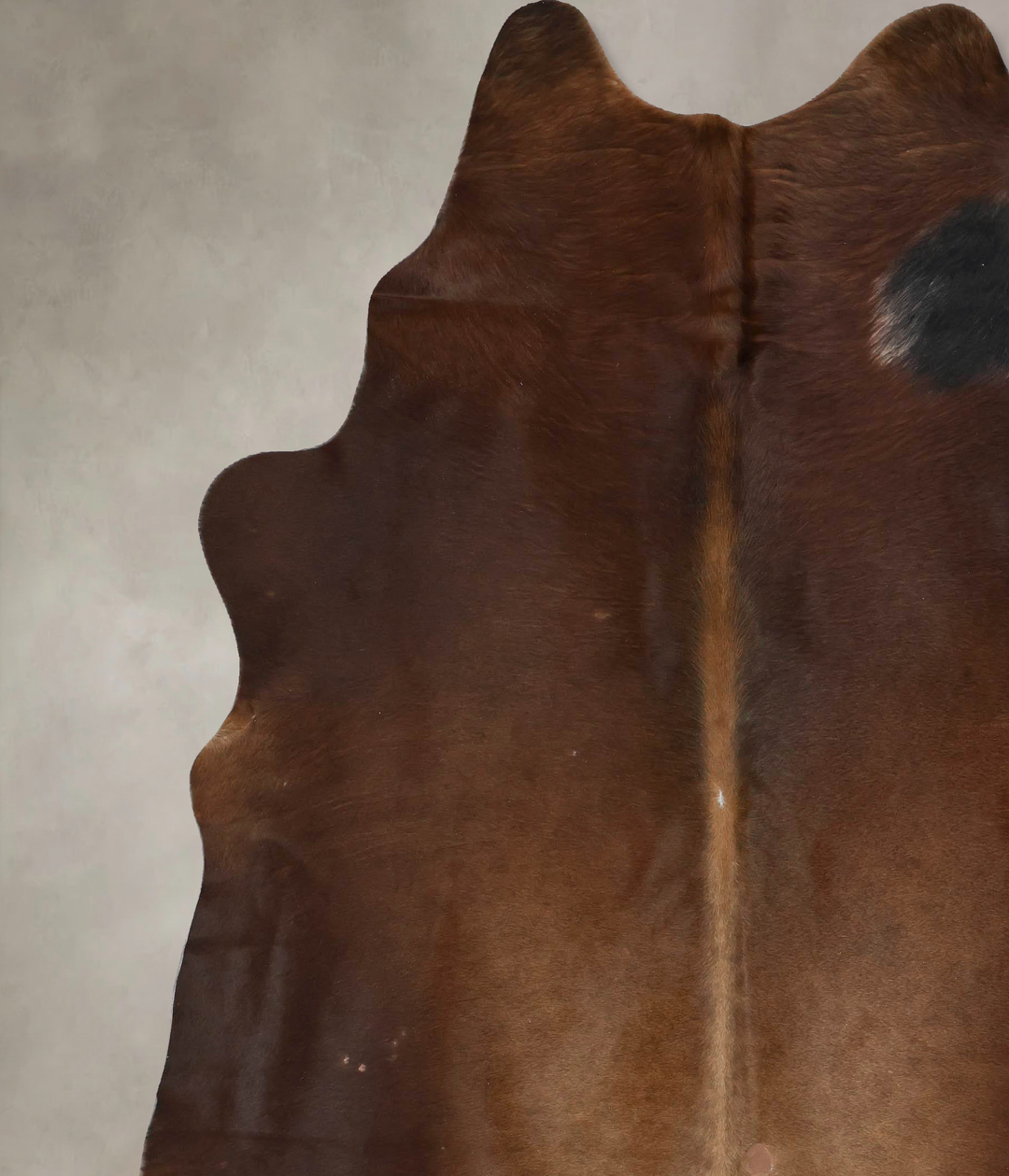 Chocolate XX-Large Brazilian Cowhide Rug 8'4"H x 7'2"W #B17211 by Huds