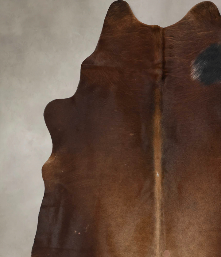 Chocolate XX-Large Brazilian Cowhide Rug 8'4"H x 7'2"W #B17211 by Hudson Hides