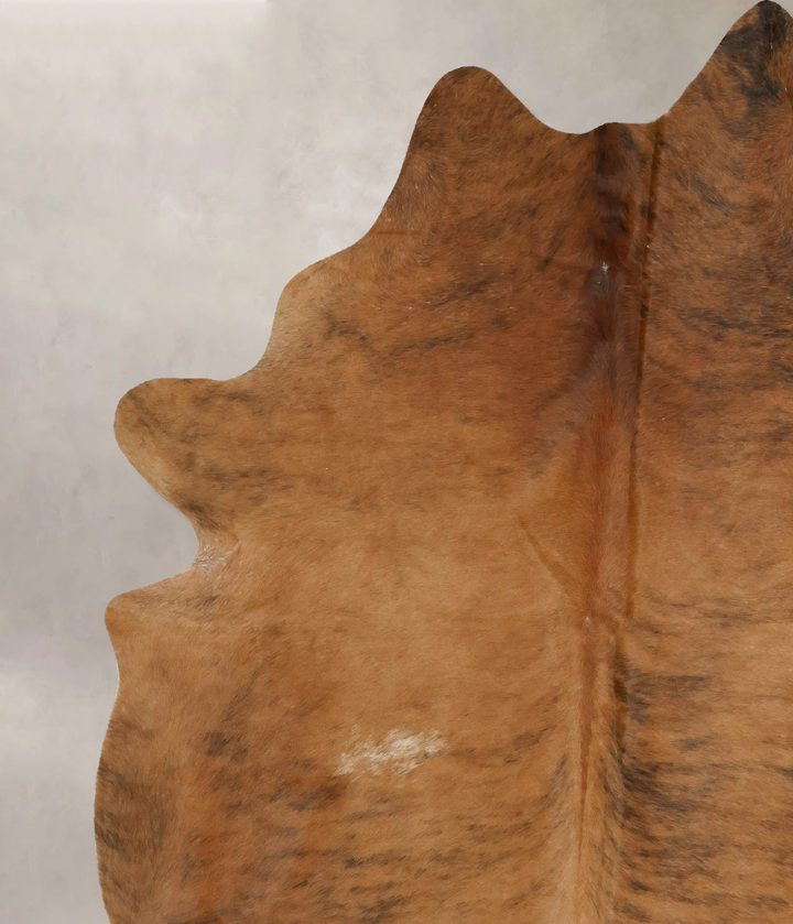Medium Brindle XX-Large Brazilian Cowhide Rug 8'4"H x 6'7"W #B17234 by Hudson Hides