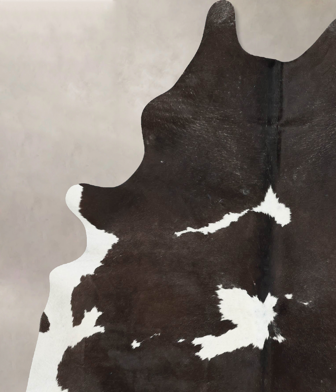 Chocolate and White X-Large Brazilian Cowhide Rug 7'10"H x 6'0"W #B172