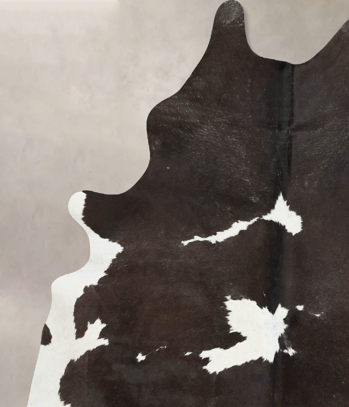 Chocolate and White X-Large Brazilian Cowhide Rug 7'10"H x 6'0"W #B17237 by Hudson Hides