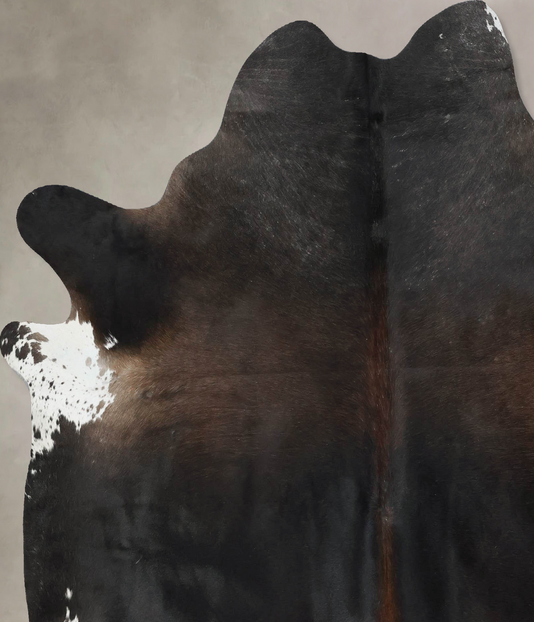 Chocolate X-Large Brazilian Cowhide Rug 7'2"H x 6'4"W #B17239 by Hudso