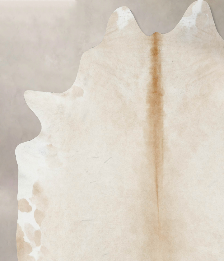 Palomino XX-Large Brazilian Cowhide Rug 8'9"H x 7'7"W #B17242 by Hudson Hides
