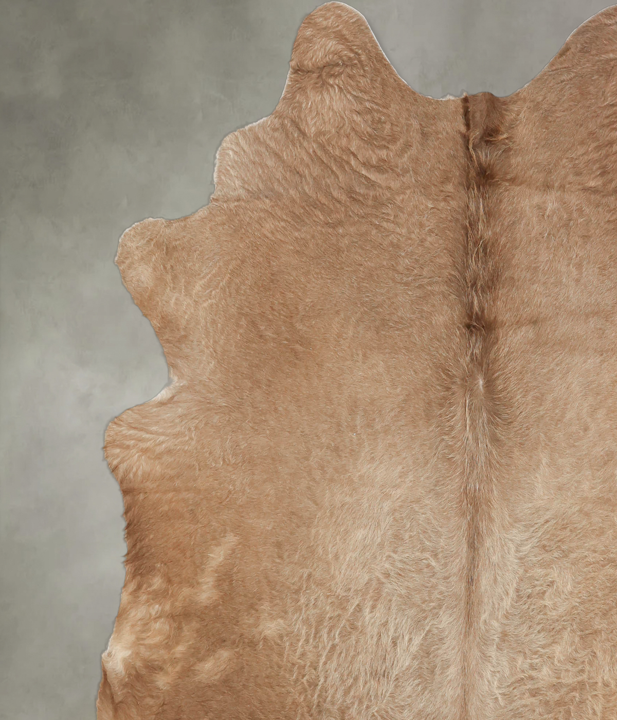 Taupe X-Large Brazilian Cowhide Rug 6'11"H x 6'6"W #B1727 by Hudson Hides