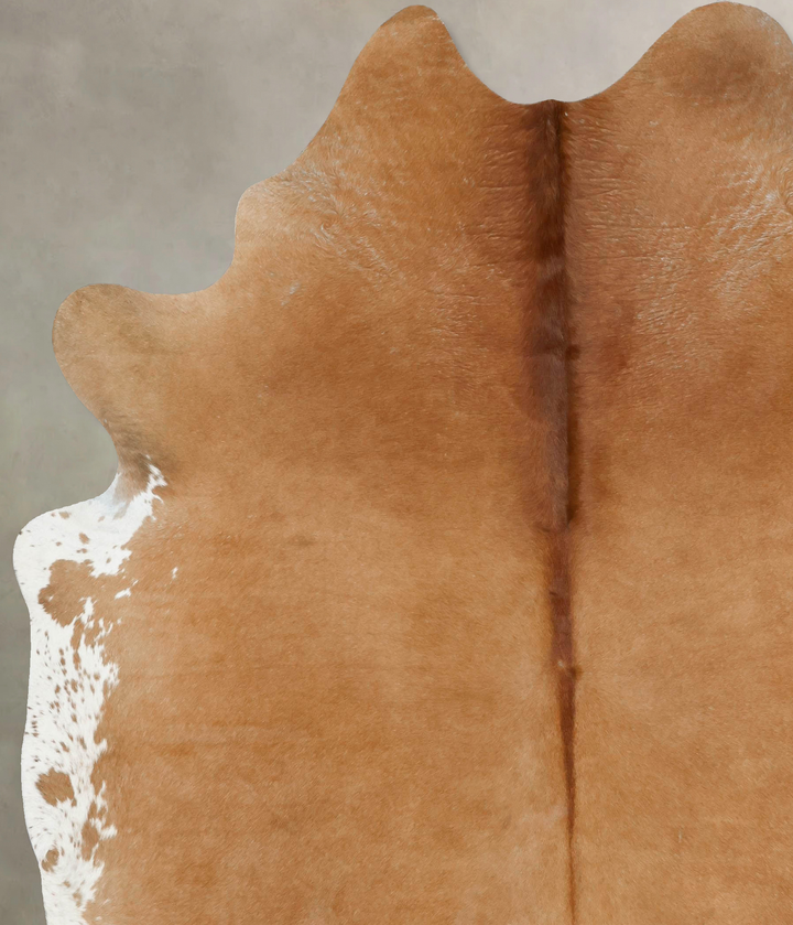 Beige XX-Large Brazilian Cowhide Rug 8'8"H x 7'1"W #B17272 by Hudson Hides