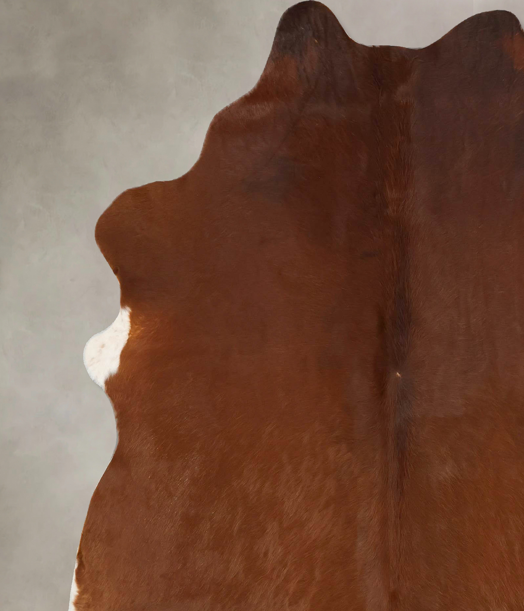 Solid Brown X-Large Brazilian Cowhide Rug 7'1"H x 6'3"W #B17316 by Hud