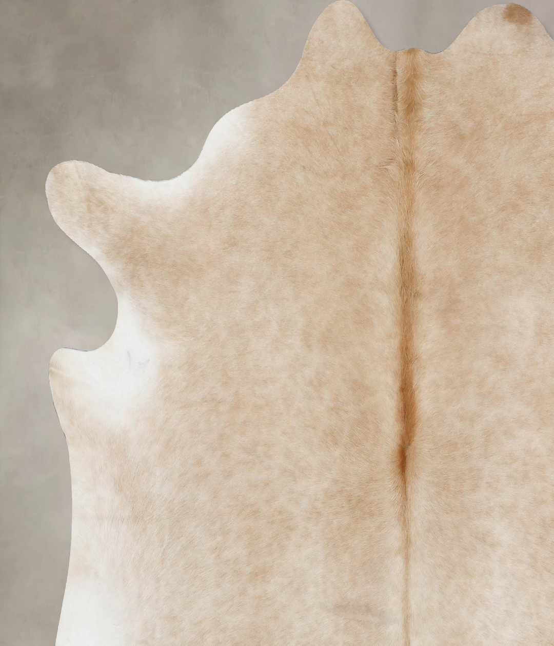 Palomino XX-Large Brazilian Cowhide Rug 7'5"H x 7'3"W #B17328 by Hudso