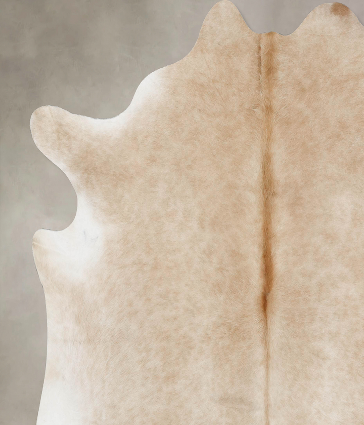Palomino XX-Large Brazilian Cowhide Rug 7'5"H x 7'3"W #B17328 by Hudson Hides