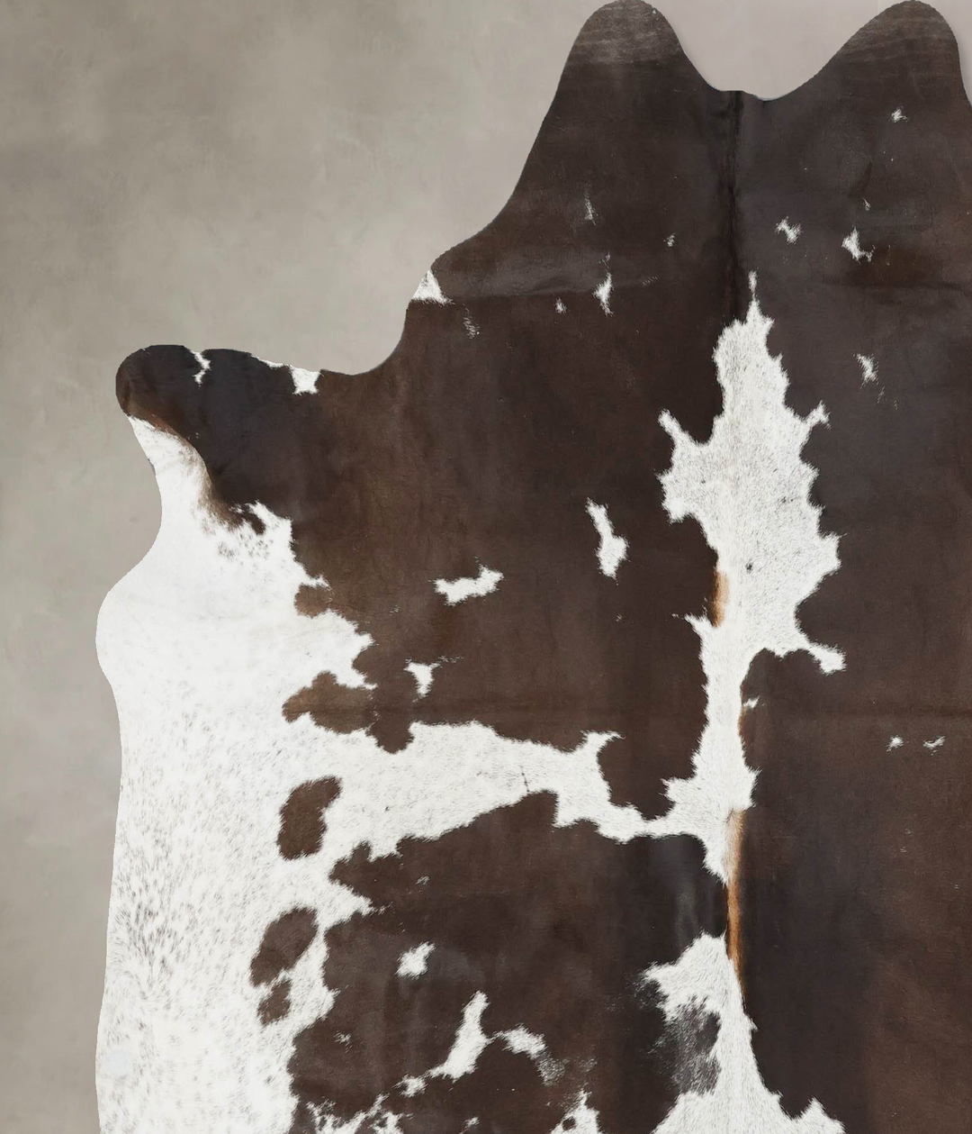 Chocolate and White X-Large Brazilian Cowhide Rug 6'9"H x 6'4"W #B1733