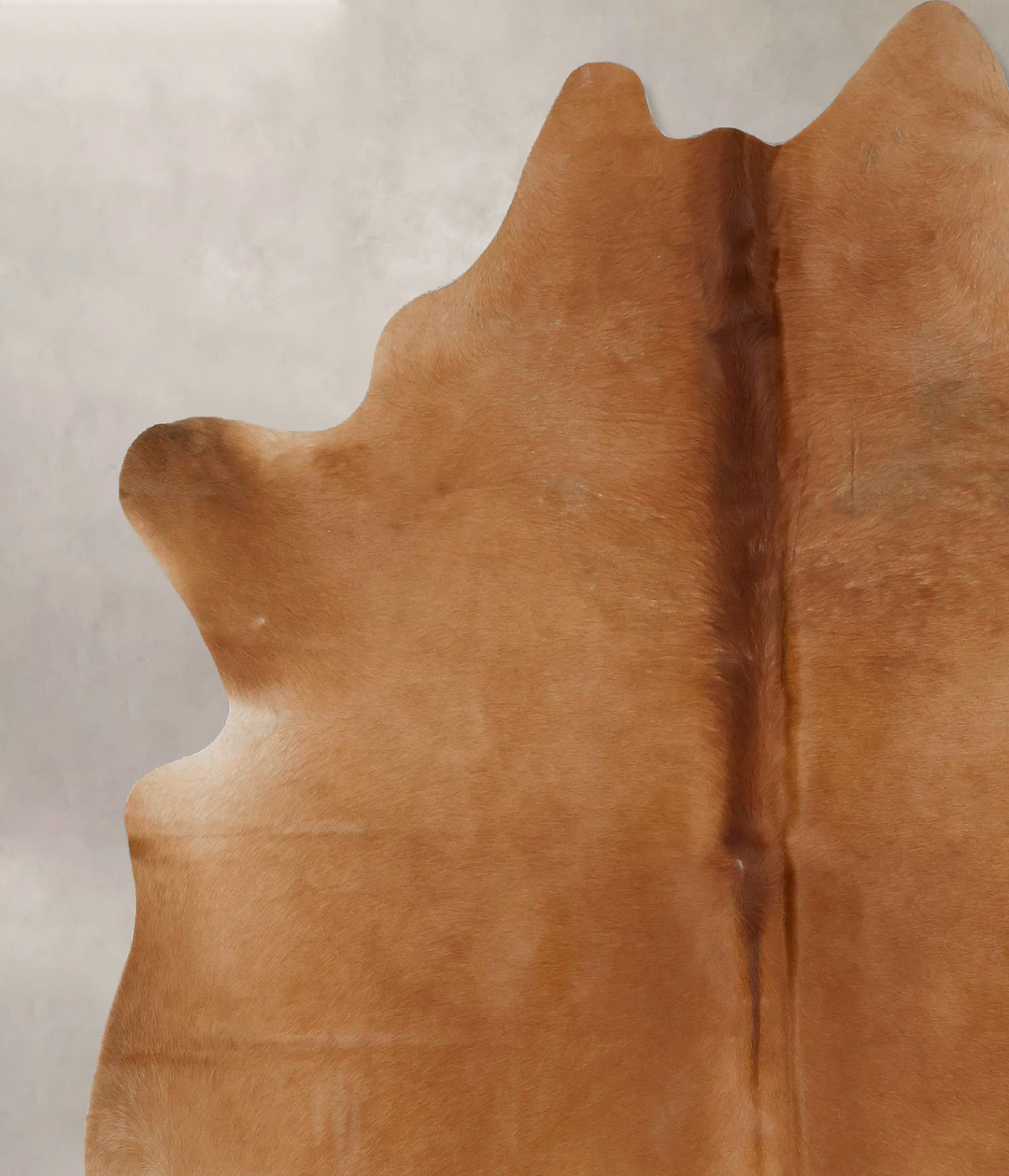 Solid Brown X-Large Brazilian Cowhide Rug 7'7"H x 6'1"W #B17342 by Hud