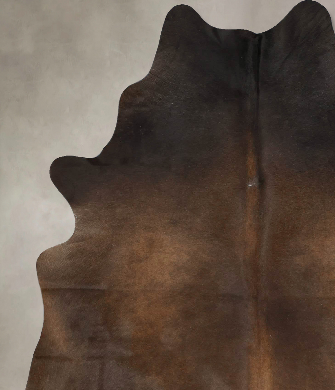 Chocolate X-Large Brazilian Cowhide Rug 7'4"H x 5'9"W #B17344 by Hudso