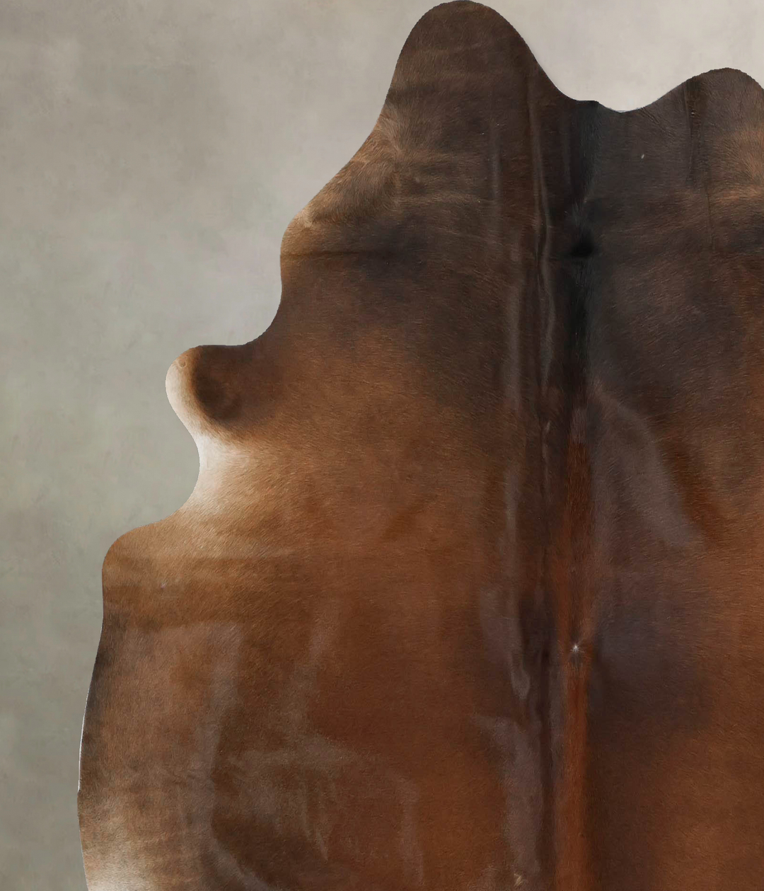 Warm Caramel X-Large Brazilian Cowhide Rug 6'6"H x 6'4"W #B17362 by Hu