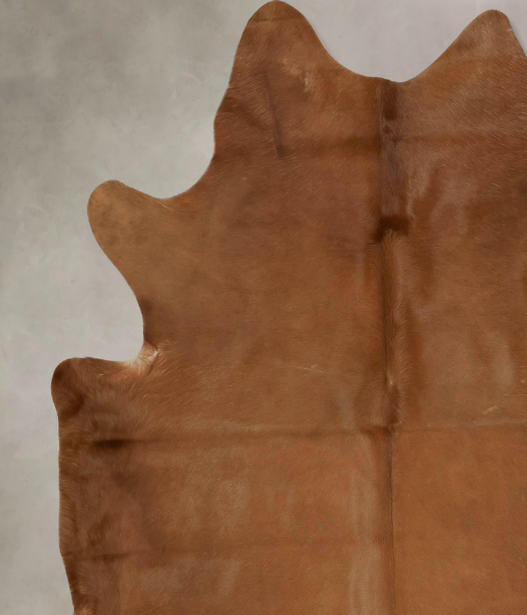 Solid Brown X-Large Brazilian Cowhide Rug 7'0"H x 6'6"W #B17376 by Hud