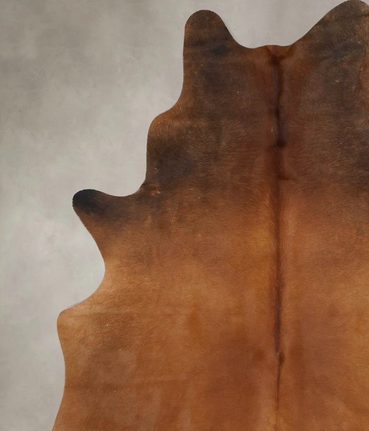Warm Caramel X-Large Brazilian Cowhide Rug 7'2"H x 5'9"W #B17386 by Hudson Hides