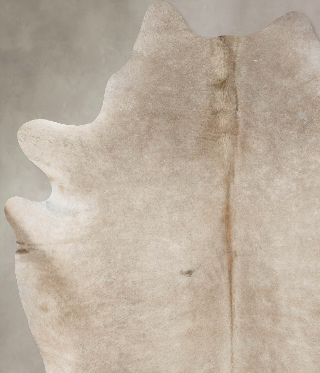 Taupe XX-Large Brazilian Cowhide Rug 8'0"H x 6'11"W #B17390 by Hudson 