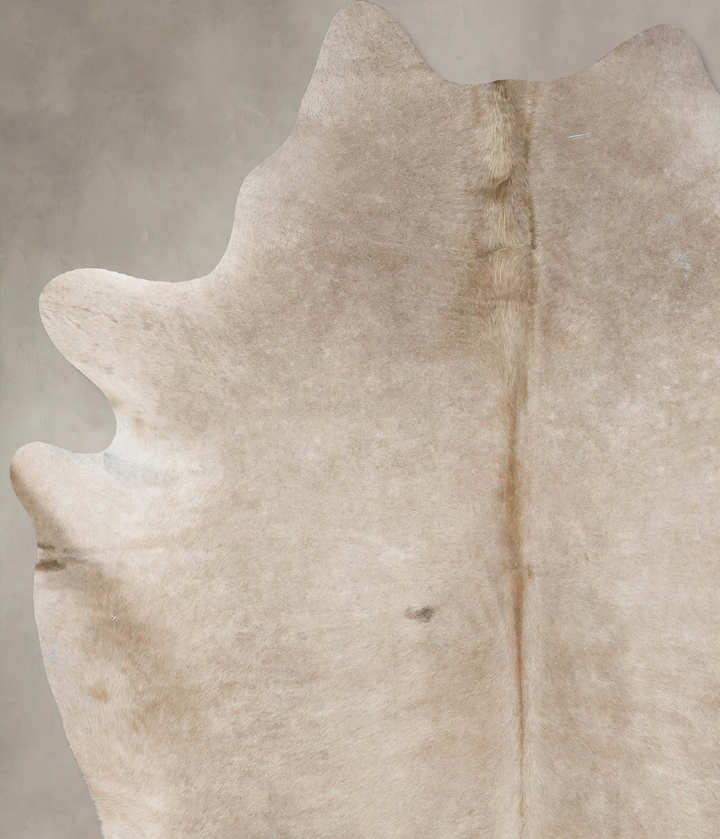 Taupe XX-Large Brazilian Cowhide Rug 8'0"H x 6'11"W #B17390 by Hudson Hides