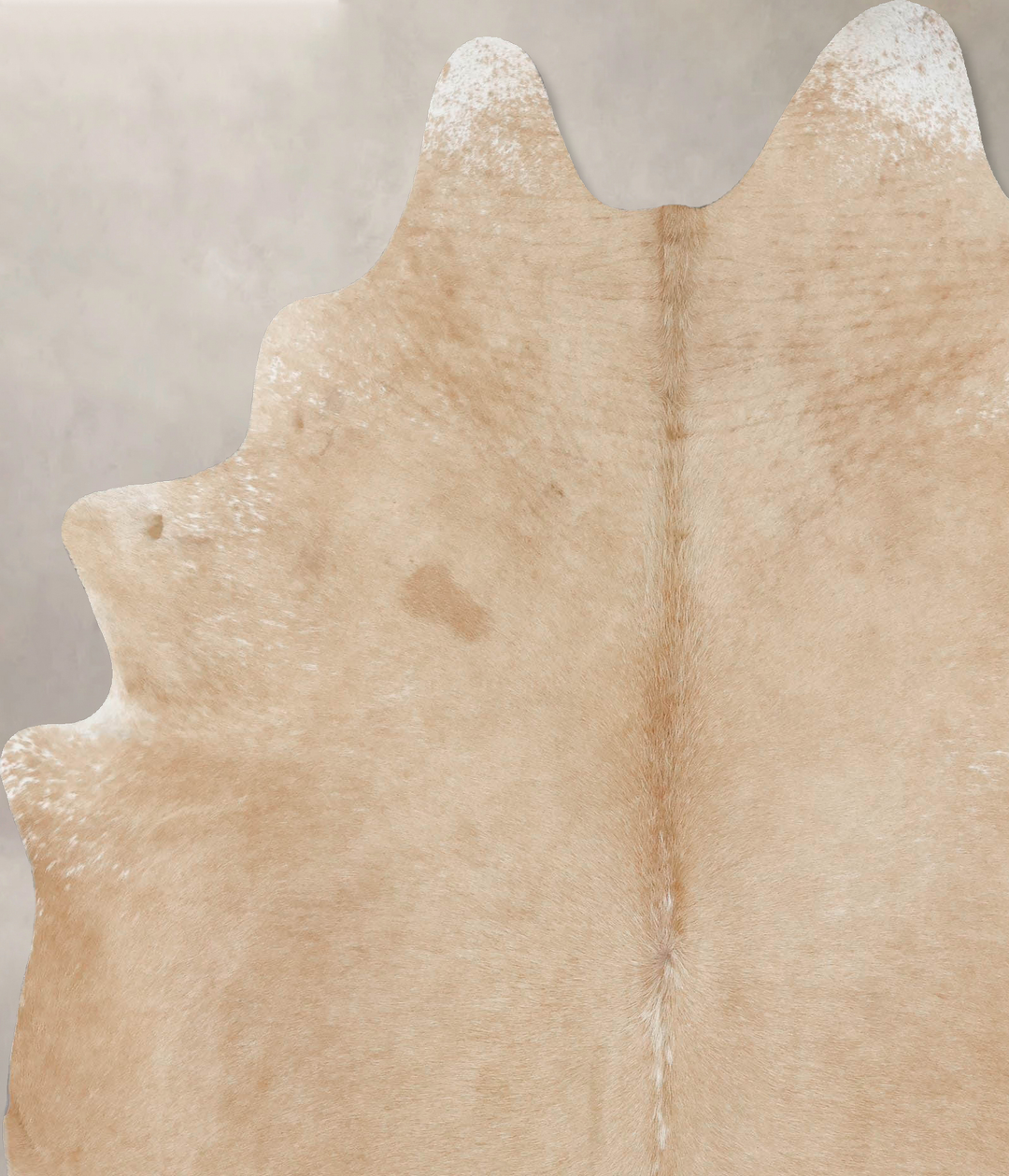 Palomino X-Large Brazilian Cowhide Rug 8'0"H x 6'3"W #B17417 by Hudson