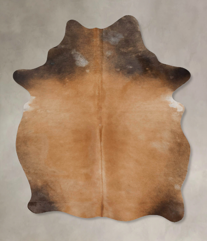 Light Caramel Medium Brazilian Cowhide Rug 6'6"H x 4'7"W #B17422 by Hudson Hides