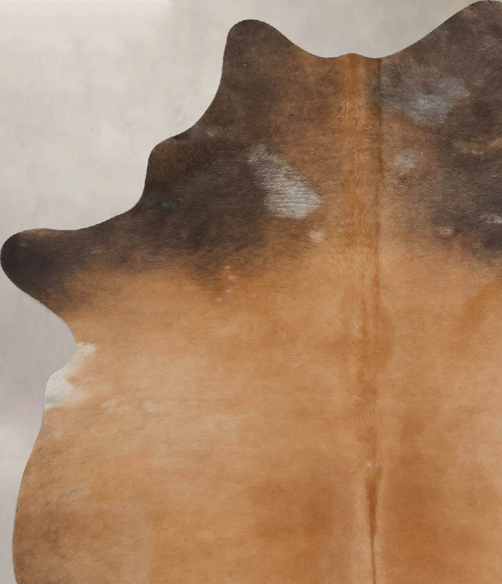 Light Caramel Medium Brazilian Cowhide Rug 6'6"H x 4'7"W #B17422 by Hudson Hides