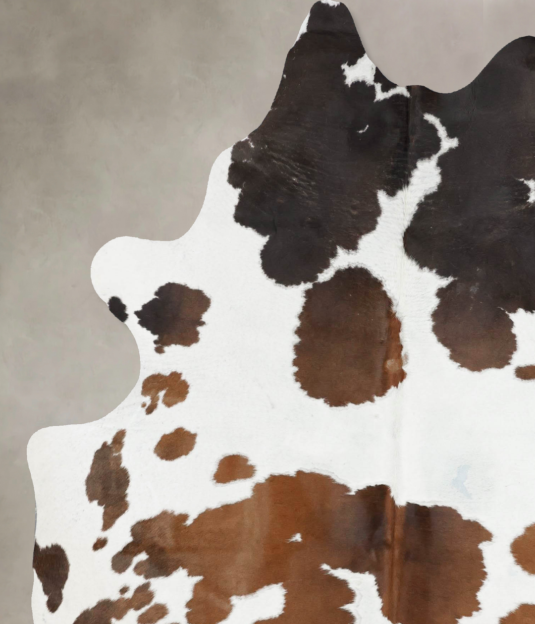 Chocolate and White X-Large Brazilian Cowhide Rug 7'9"H x 5'11"W #B174