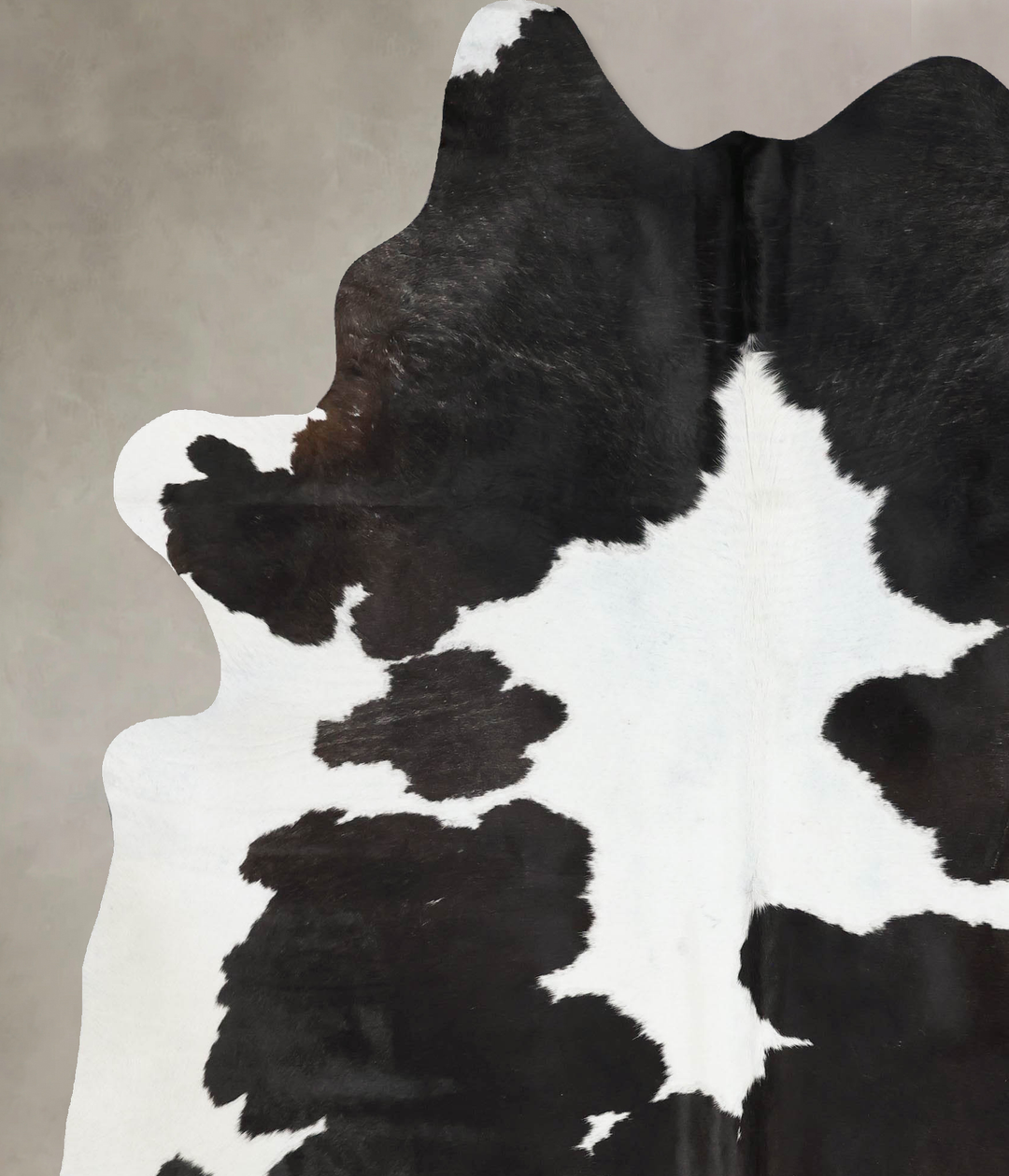 Black and White XX-Large Brazilian Cowhide Rug 8'5"H x 6'7"W #B17446 b