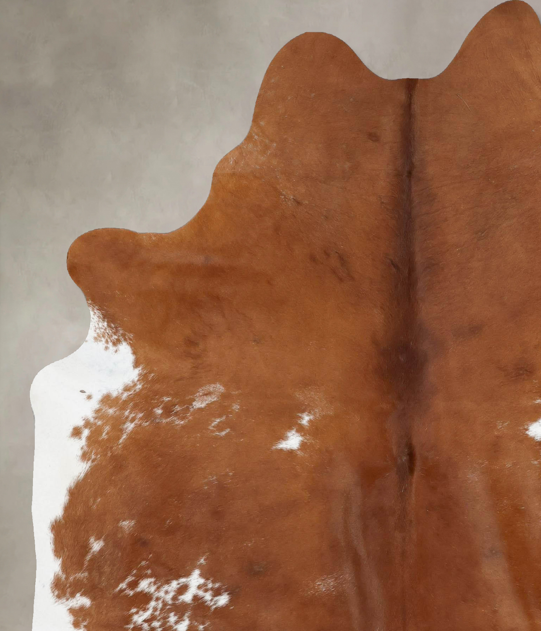 Brown and White X-Large Brazilian Cowhide Rug 7'6"H x 6'0"W #B17447 by
