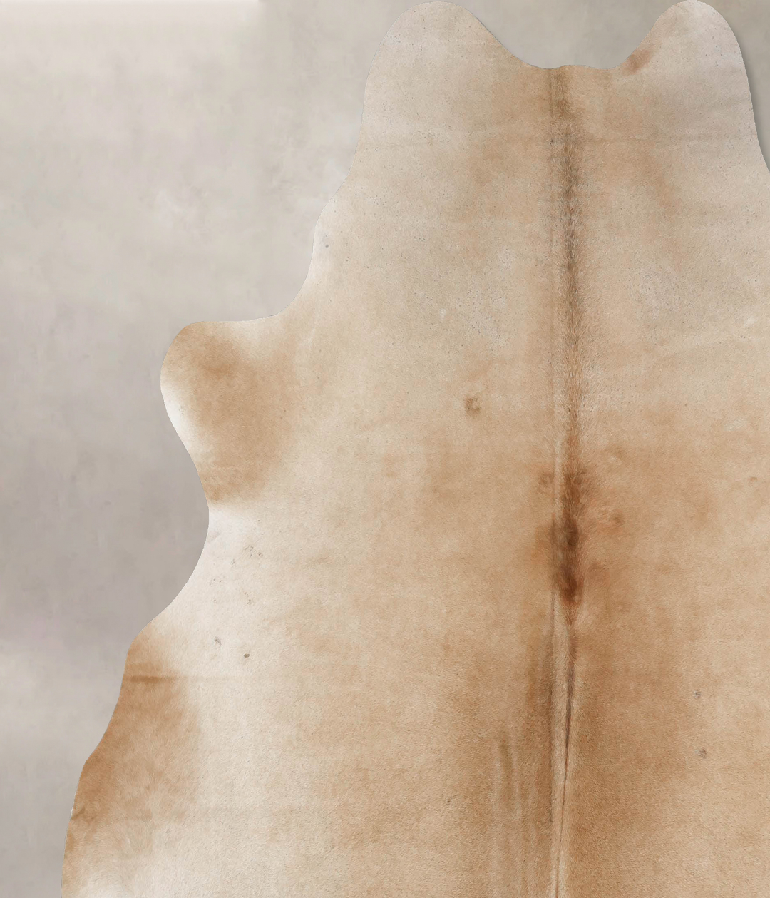 Palomino XX-Large Brazilian Cowhide Rug 7'11"H x 7'4"W #B17451 by Huds