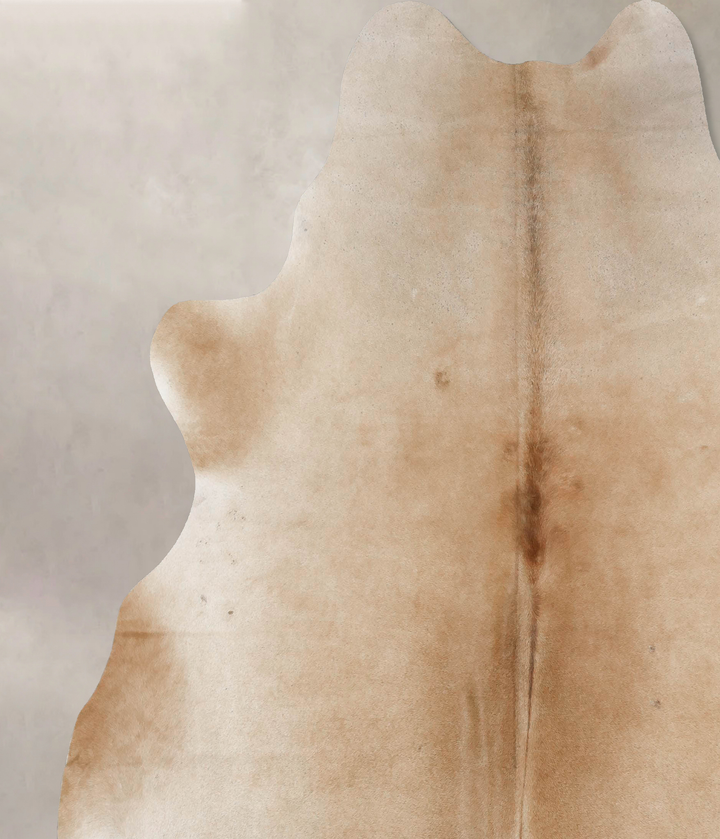 Palomino XX-Large Brazilian Cowhide Rug 7'11"H x 7'4"W #B17451 by Hudson Hides