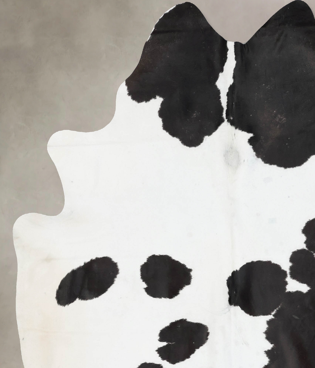 Black and White XX-Large Brazilian Cowhide Rug 8'3"H x 6'8"W #B17473 b