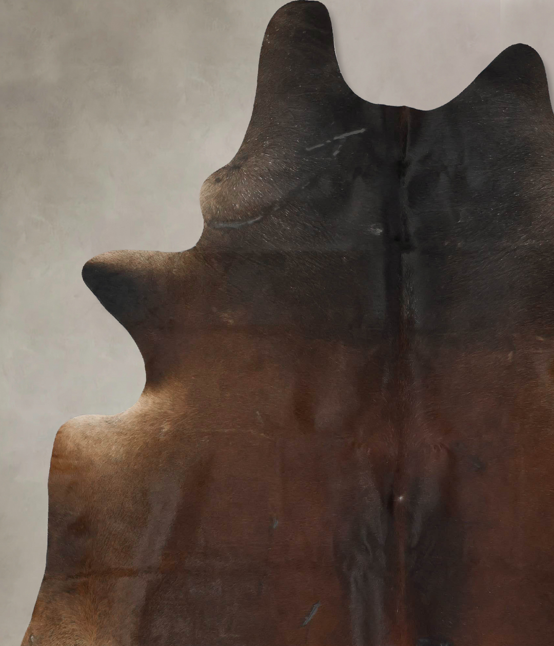 Chocolate XX-Large Brazilian Cowhide Rug 8'7"H x 6'8"W #B17475 by Huds