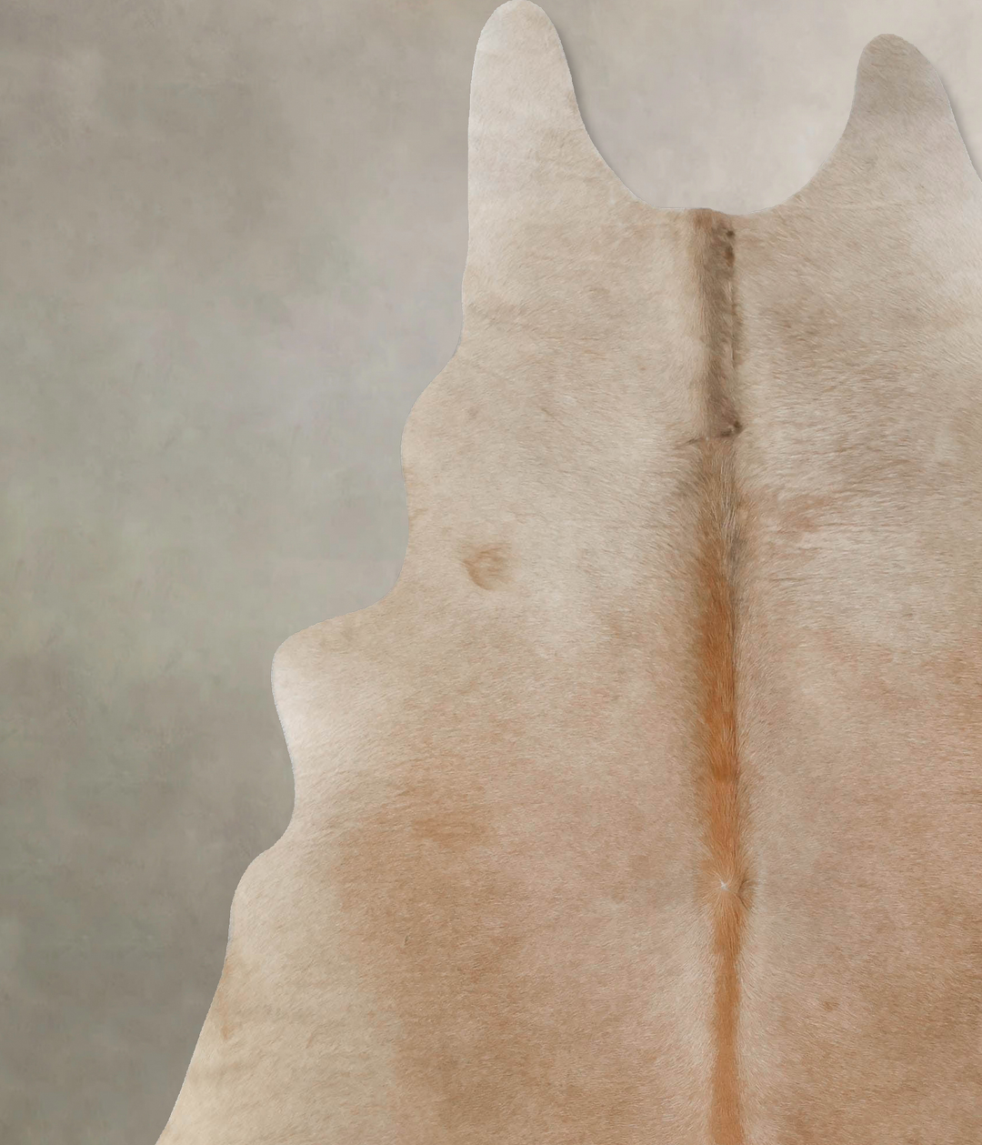 Taupe XX-Large Brazilian Cowhide Rug 7'11"H x 6'7"W #B17486 by Hudson 