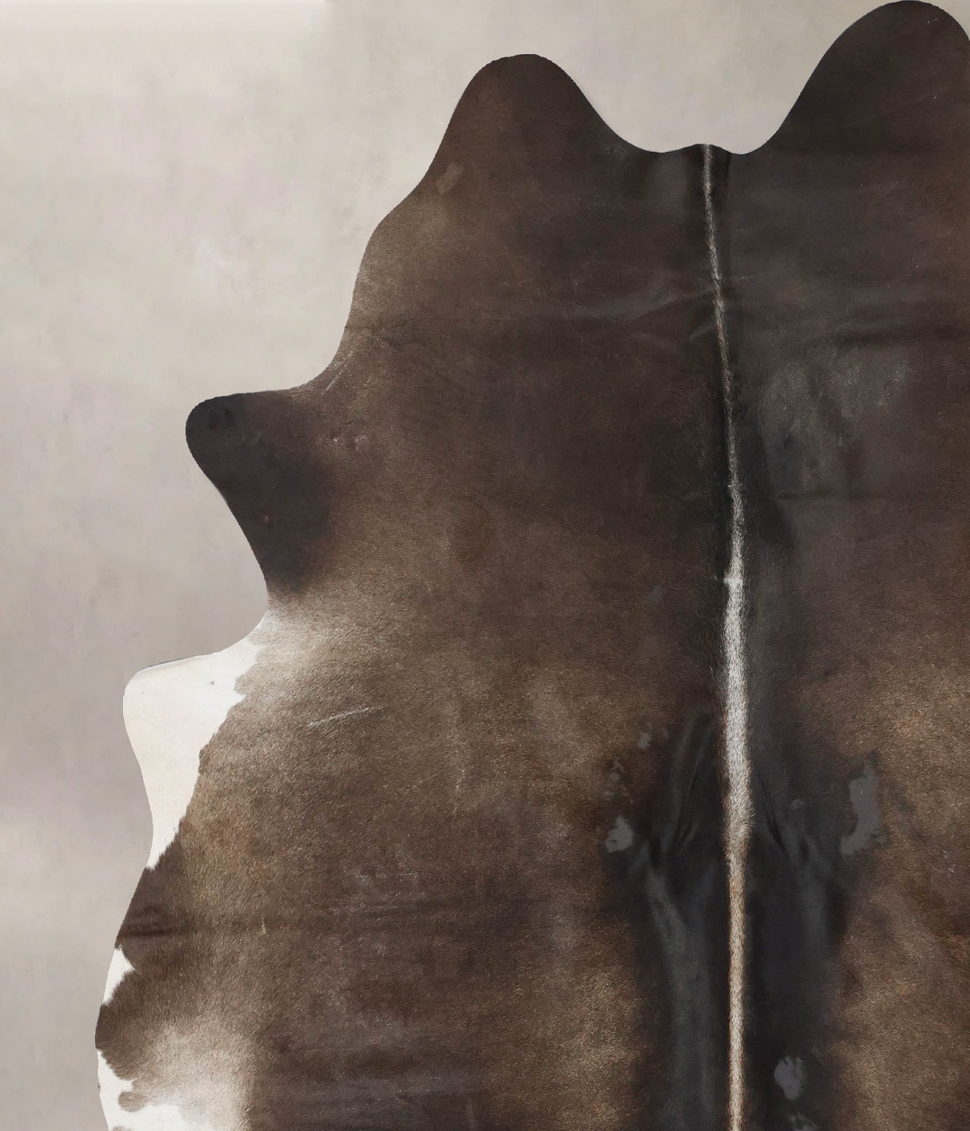 Chocolate XX-Large Brazilian Cowhide Rug 8'2"H x 6'10"W #B17495 by Hud