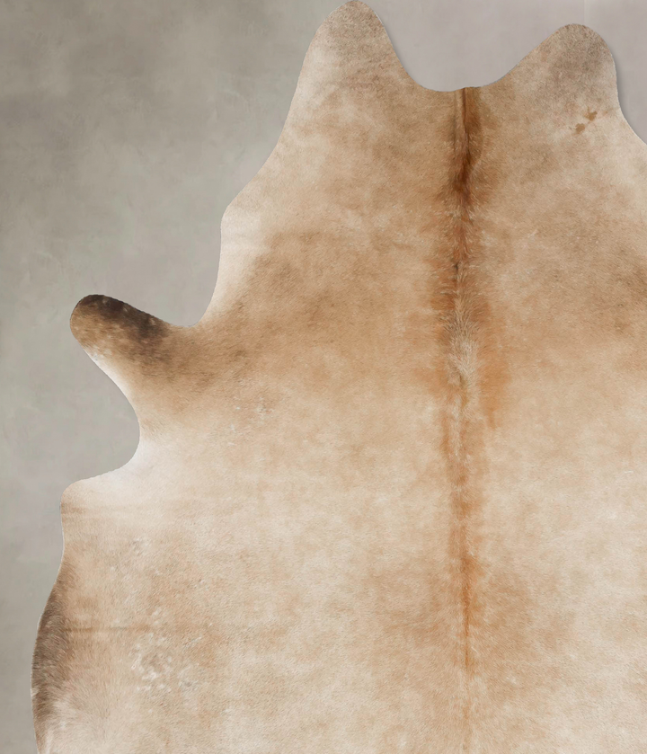 Palomino XX-Large Brazilian Cowhide Rug 8'5"H x 6'6"W #B17497 by Hudson Hides