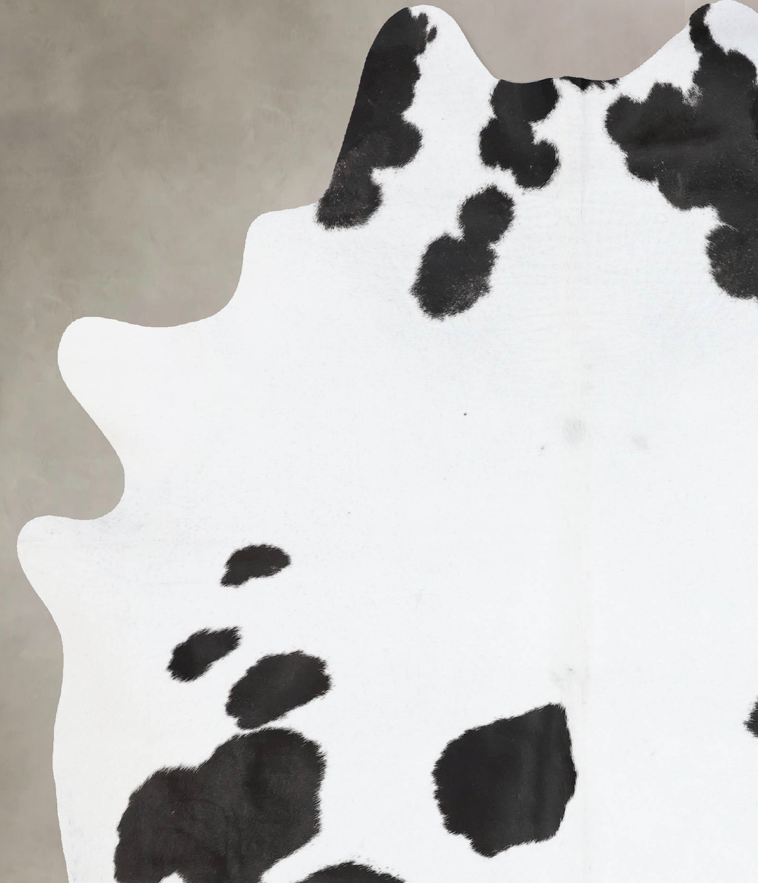 Black and White X-Large Brazilian Cowhide Rug 8'0"H x 6'3"W #B17507 by
