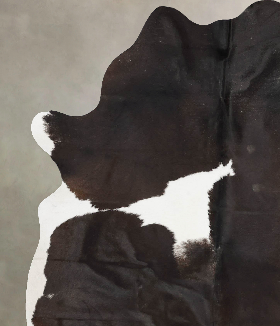 Chocolate and White X-Large Brazilian Cowhide Rug 7'5"H x 5'8"W #B1751