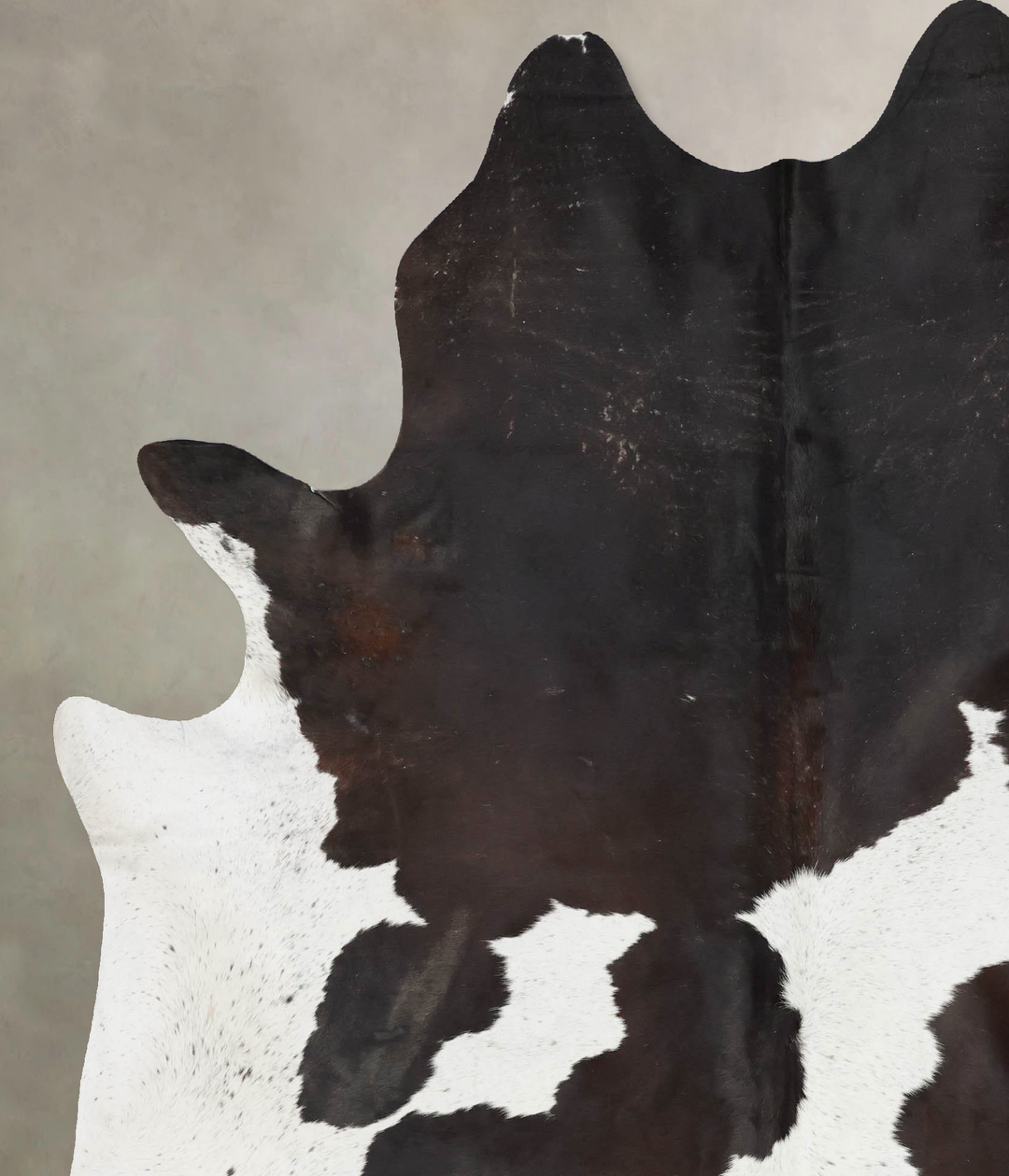 Chocolate and White XX-Large Brazilian Cowhide Rug 7'11"H x 6'7"W #B17
