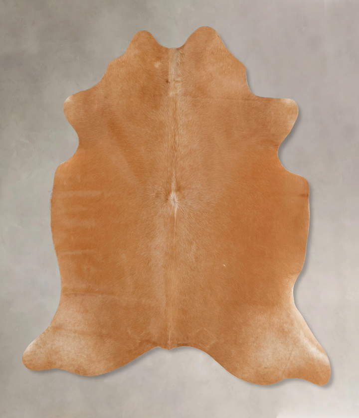 Beige Large Brazilian Cowhide Rug 6'4"H x 6'1"W #B17529 by Hudson Hides