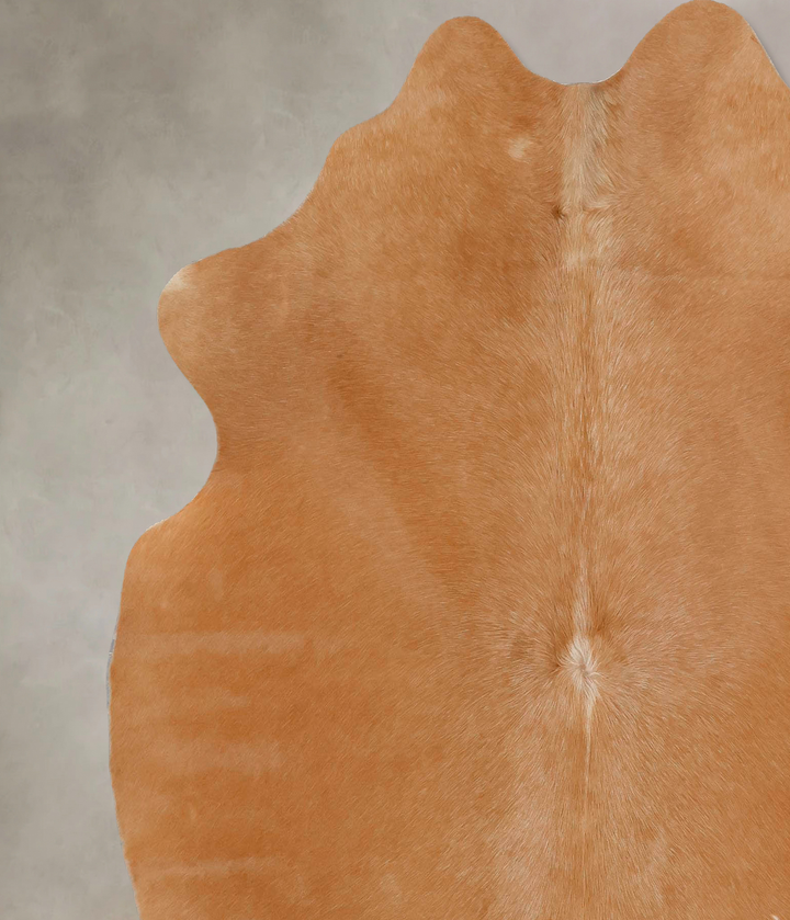 Beige Large Brazilian Cowhide Rug 6'4"H x 6'1"W #B17529 by Hudson Hides