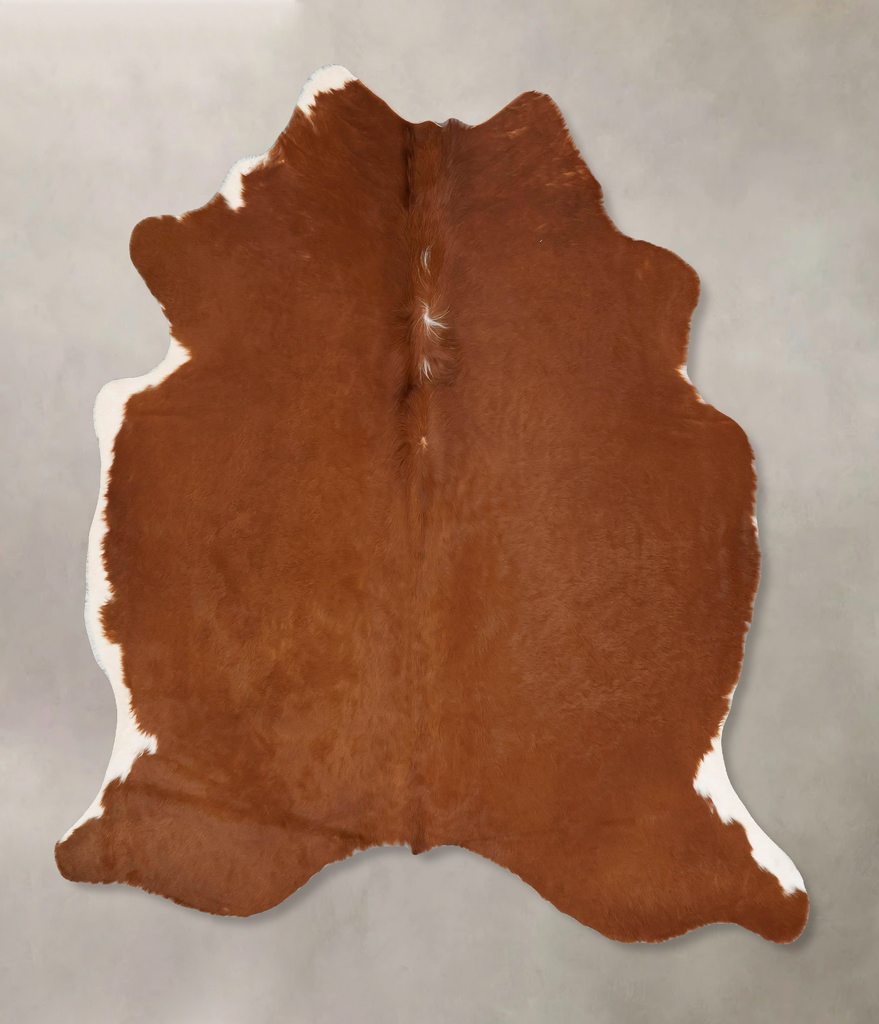 Solid Brown X-Large Brazilian Cowhide Rug 6'6"H x 6'2"W #B17533 by Hudson Hides
