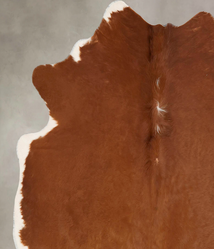 Solid Brown X-Large Brazilian Cowhide Rug 6'6"H x 6'2"W #B17533 by Hudson Hides
