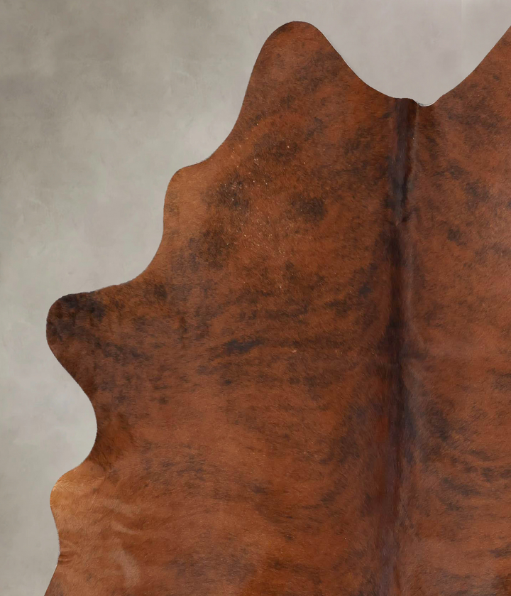 Medium Brindle Large Brazilian Cowhide Rug 6'4"H x 5'8"W #B17535 by Hudson Hides
