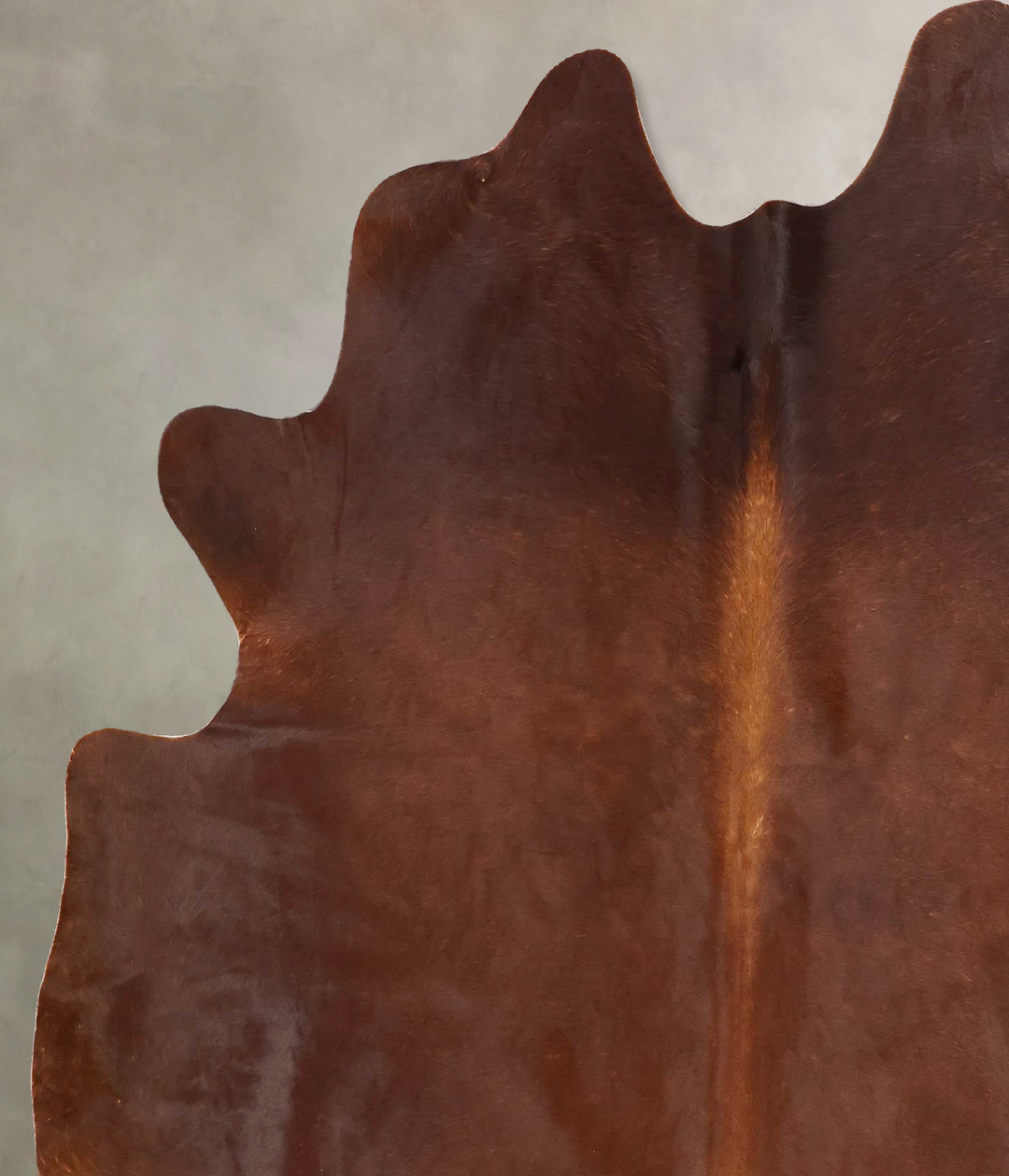 Solid Brown X-Large Brazilian Cowhide Rug 6'8"H x 6'1"W #B17538 by Hud