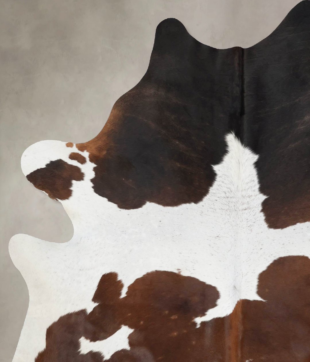 Chocolate and White X-Large Brazilian Cowhide Rug 7'7"H x 5'11"W #B175