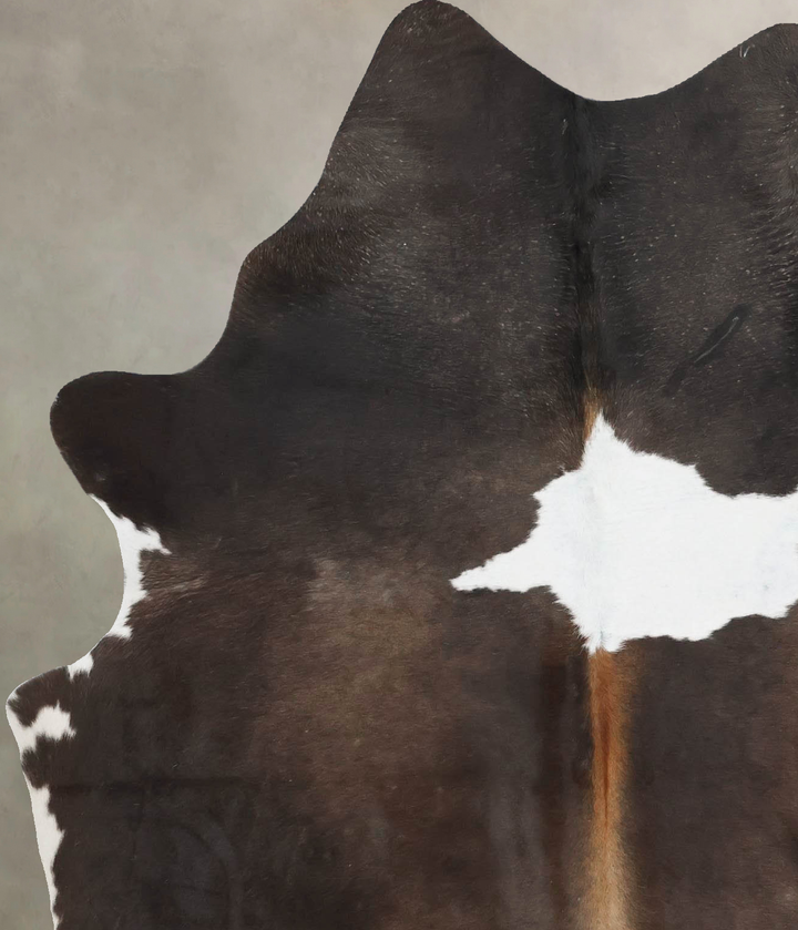 Chocolate and White Large Brazilian Cowhide Rug 6'4"H x 5'2"W #B17547 by Hudson Hides